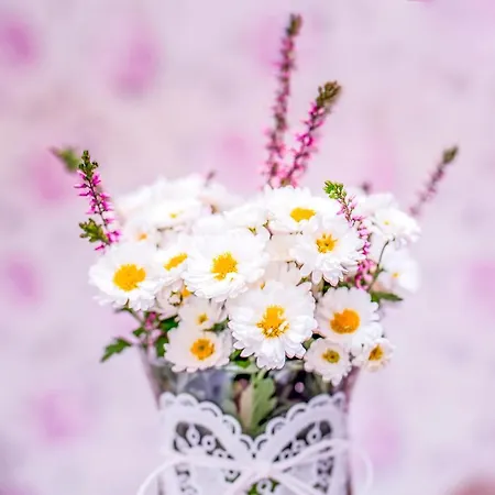 Pogaduchy * Frombork