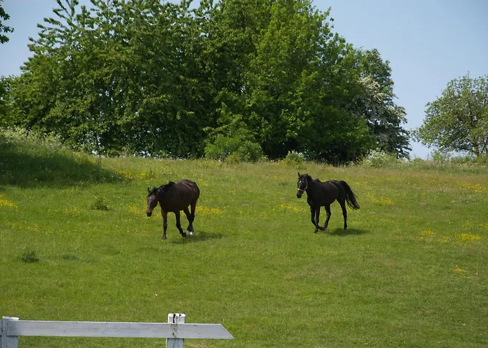 Pogaduchy Penzion Frombork