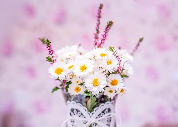 Pogaduchy * Frombork